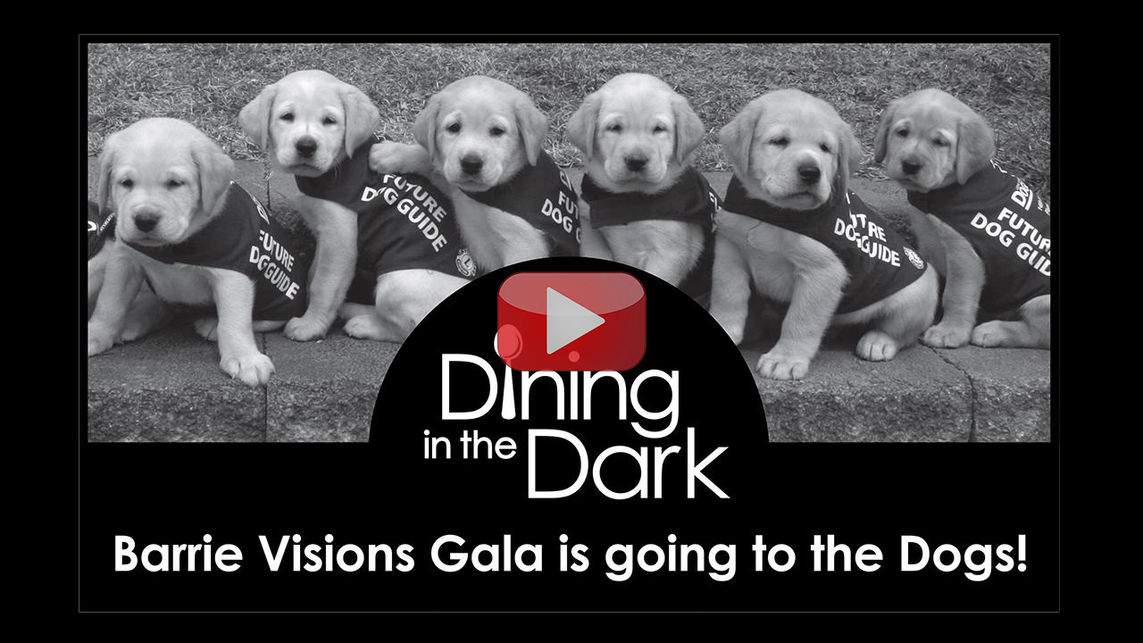 Dining in the Dark