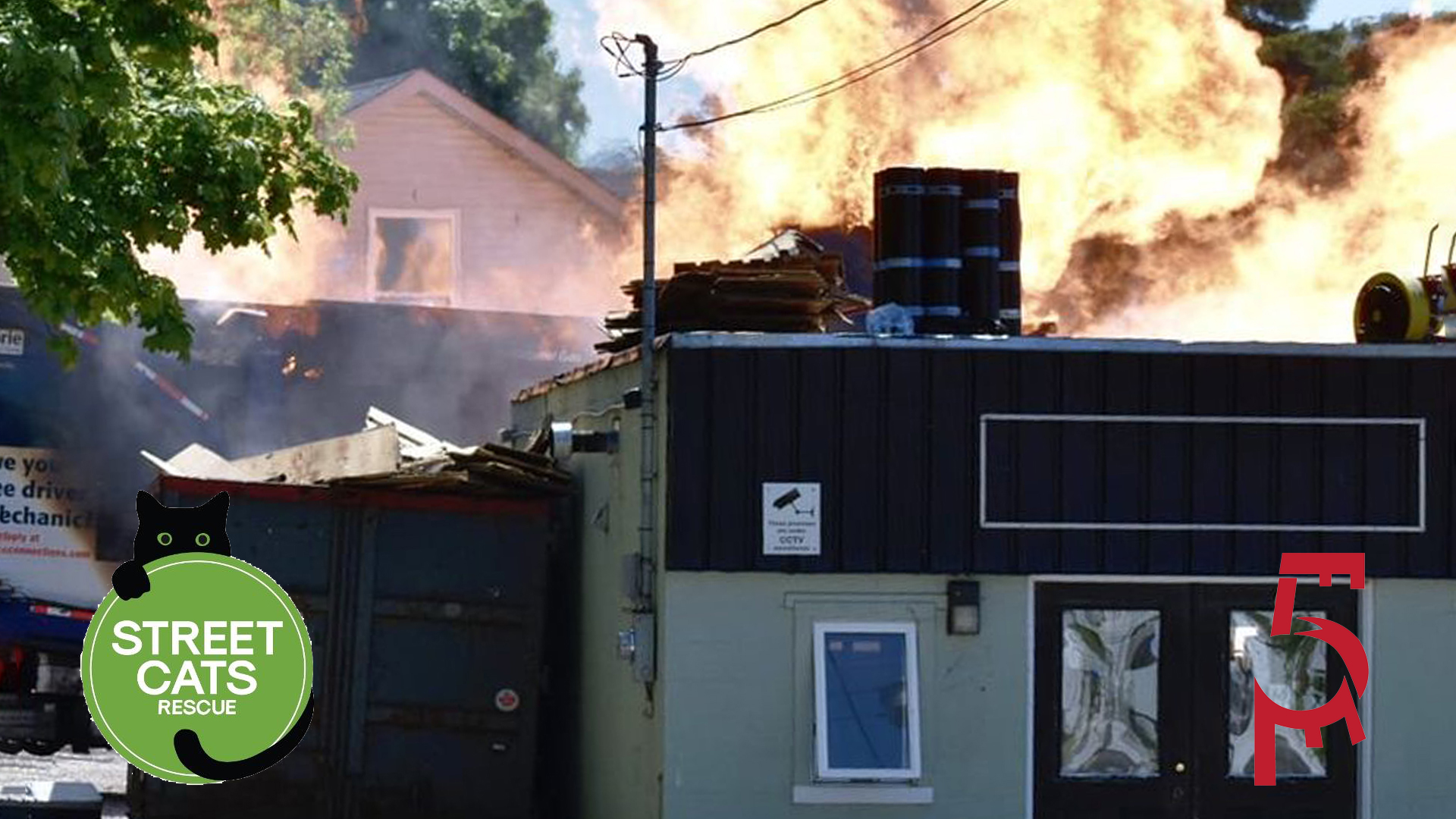 Street Cats Rescue Fire Fundraiser, 2023